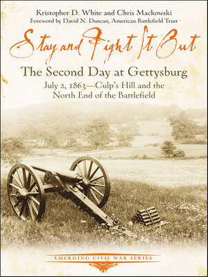 cover image of Stay and Fight It Out
